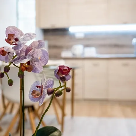 Aquamarine Apartment Varna