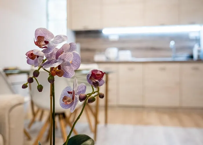 Aquamarine Apartment Varna